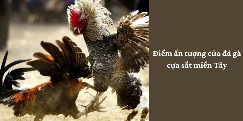 diem-an-tuong-cua-da-ga-cua-sat-mien-tay